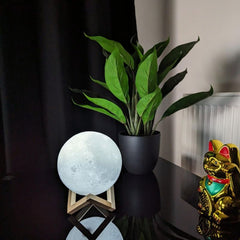 3d Moon Lamp - Bring Your Moon Closer to Your Heart 🌙❤️